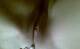 Foto privada de sexy_marika