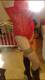 Foto privada de Dreams360