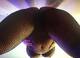 Foto privada de Dayane_555