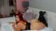 Foto privada de red_rabbit