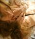 Foto privada de Cara_mia