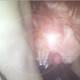Foto privada de luciferas