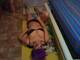 Foto privada de Sheri2