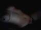 Foto privada de NinFa_SeXy_