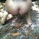 Foto privada de sexybutterfly