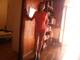 Foto privada de Amazzone_Ribelle